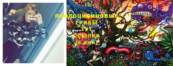 кокаин Белокуриха